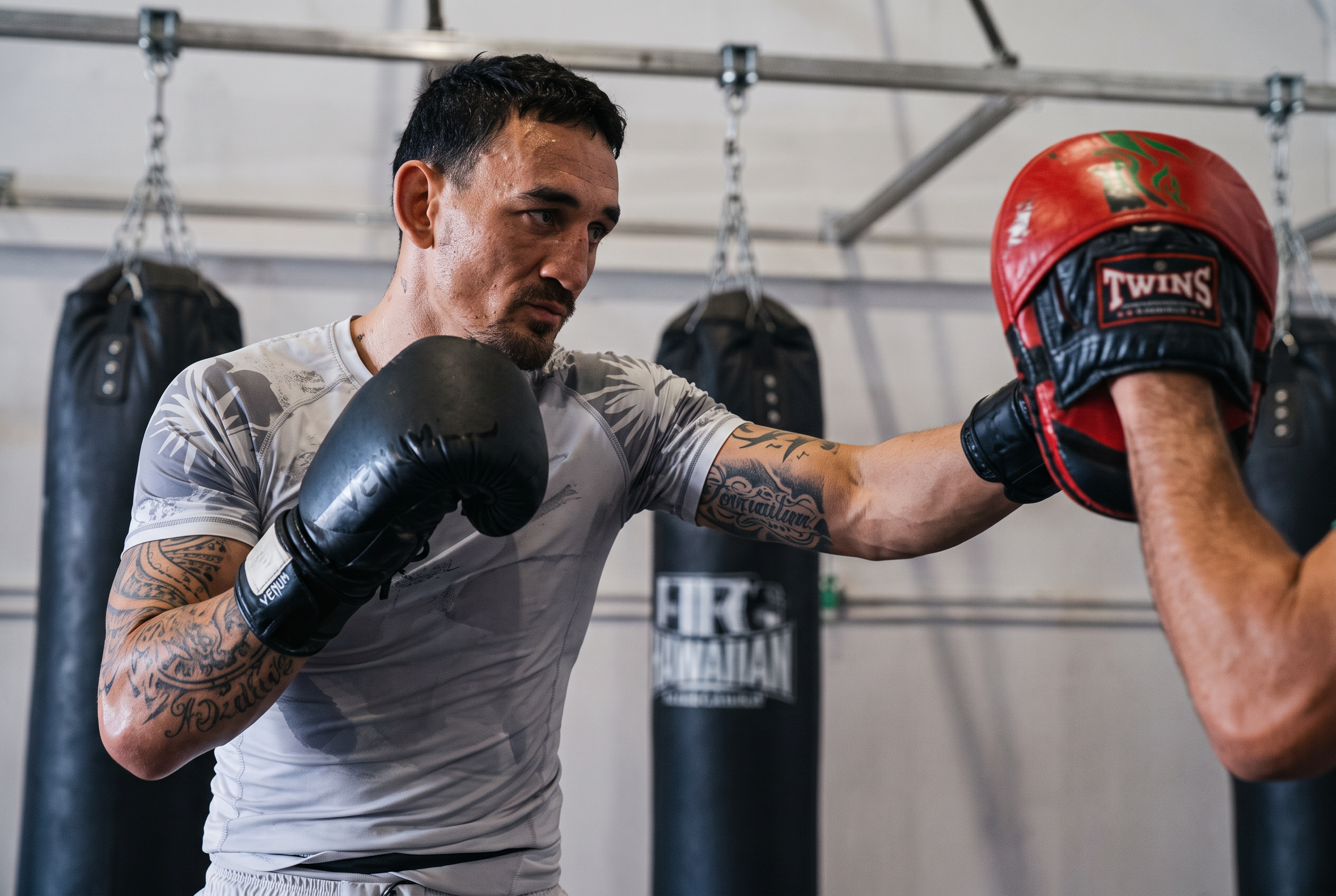 Boxer training with pads in the gym